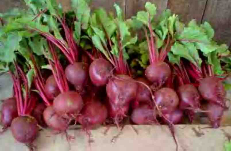 Beets