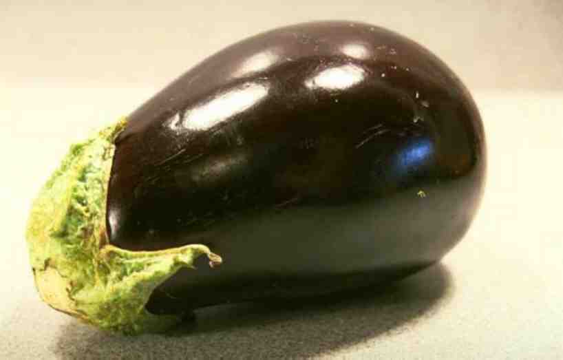 Eggplant